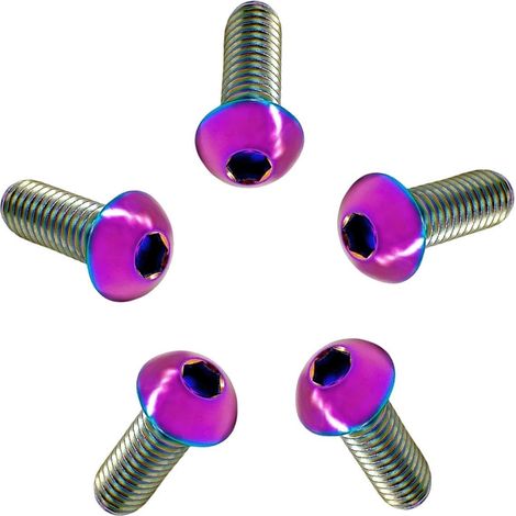 Vis à Tête Bombée M4/M5/M6/M8 en Titane GR5 ISO7380, 5 Pièces Vis à Tête de Bouton Boulons à Six Pans Creux Allen Boulon à Douille Hexagonale Vis à Métaux (1/5)