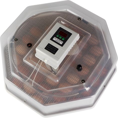 Kruger Meier ProLexor 60 - incubatrice con termostato per 60 uova (1/5)