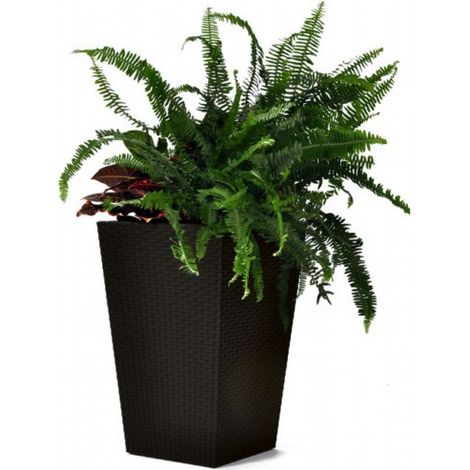 Vaso Keter Planter S in rattan antracite 23,6l cm 28,5x28,5x43,5 h (1/5)