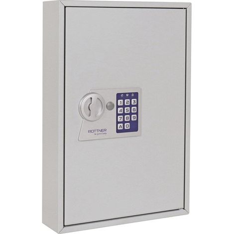 Armoire à clés S 64 H450xL300xP80mm 1 porte sans numéro Hak.64 ROTTNER