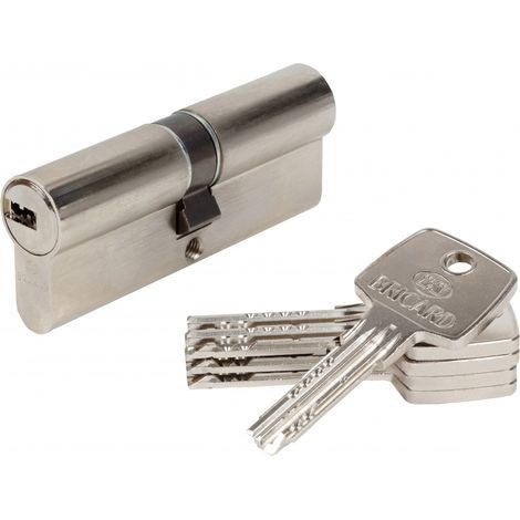 BRICARD Cylindre de serrure BRICARD astral débrayable L.40 + 40 mm