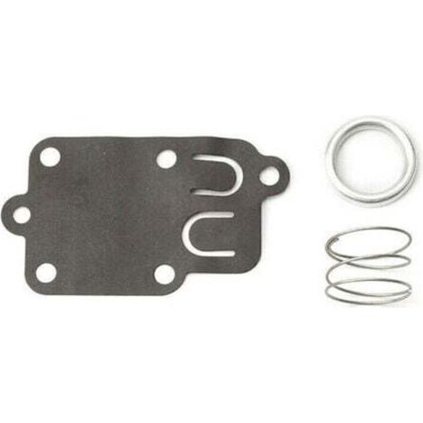 Membrana del carburador Briggs and Stratton (1/4)