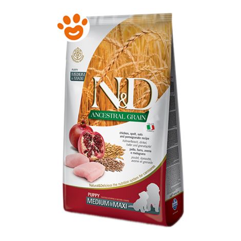 Farmina Dog N&D Ancestral Grain Puppy Medium Maxi Pollo e Melograno - Sacco 12 Kg - Cibo Secco Cani (1/3)