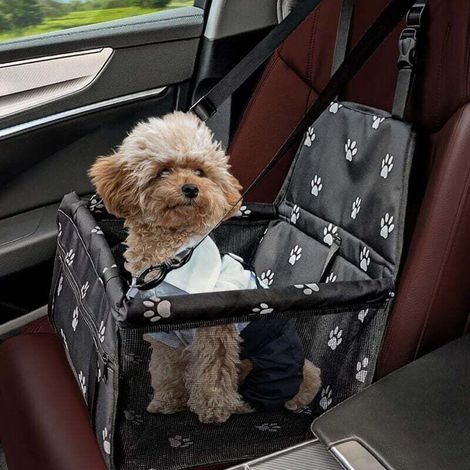 Seggiolino auto per cani - Seggiolino auto traspirante e lavabile per piccoli animali - Trasportino pieghevole - Dimensioni da aperto: 40 x 32 x 25 cm