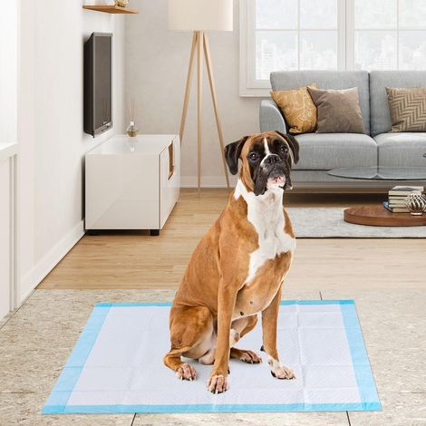 Film PE Étanche et Doux Sols Protégés Lot 100 Alèses Tapis d'Éducation Apprentissage Propreté Chien (1/5)