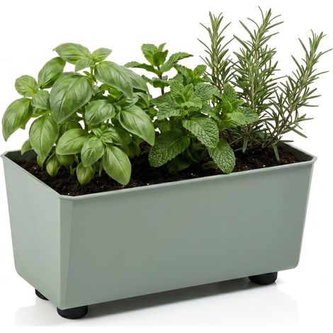 Jardinière Rectangulaire avec Pieds Élégants – Bac À Fleurs Vert en Plastique Robuste 28,5 x 17 cm, 4,2L – Résistant Aux Intempéries (1/5)