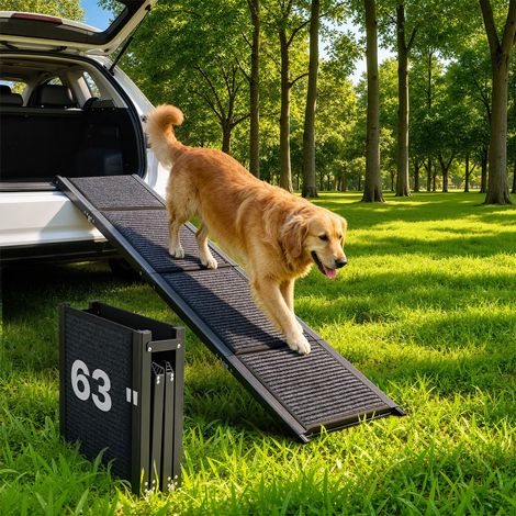 Rampe pour chien pliable 160 x 43,2 cm, accès voiture antidérapant 113 kg, pour chiens moyens et grands, SUV et camions (1/5)