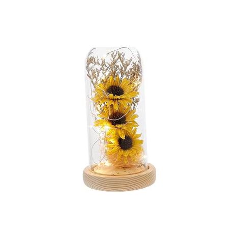 Mini Lampe Verre Tournesol LED Décoration Bureau Maison (1/4)