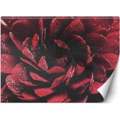Carta Da Parati, Fiore in scala macro - 100x70 (1/5)