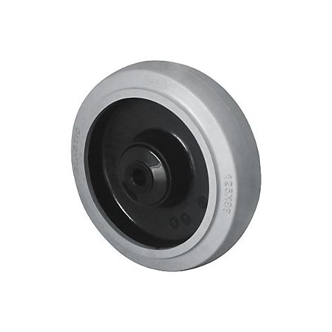 CASCOO Rad ø 100 mm Serie R4E2 Kugellager Edelstahl