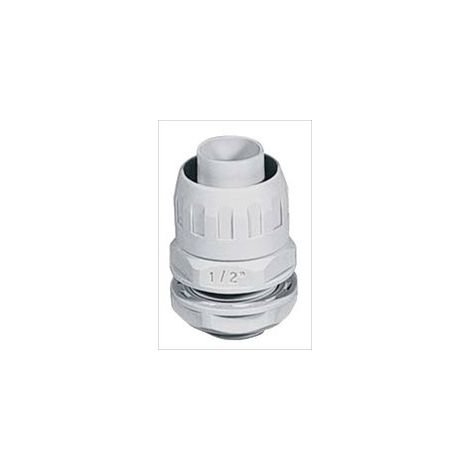 Raccordo Ip65 Guaina-Scatola Filetto P.Gas D.32 (Elettrocanali Cod. Ecgx32)