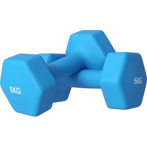 Set 2 Manubri Esagonali da 2x6kg in Metallo e Plastica con Impugnatura Antiscivolo, 22x10x10 cm, Azzurro