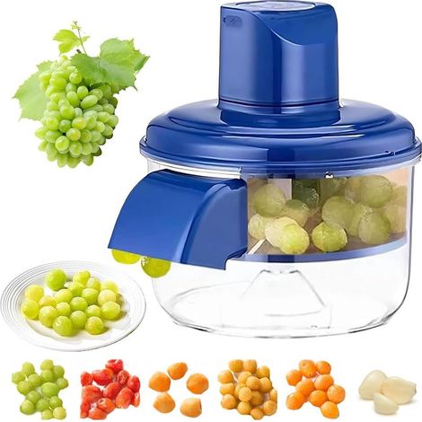 Automatische elektrische Maschine zur Trauben- und Tomatenverarbeitung (1/5)