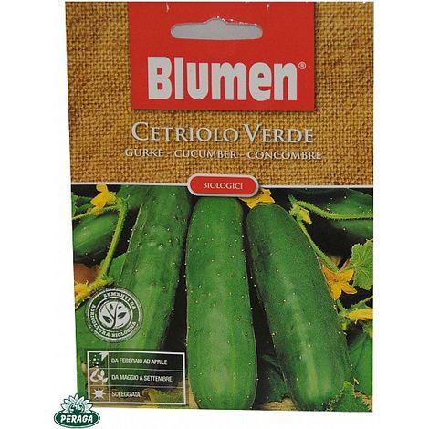 SEMI DI CETRIOLO BIOLOGICO