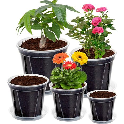 Lot de 10 Pots Plastique Transparents - Avec Soucoupes et Trous Drainage - Pour Semis Fleurs Succulentes - Tailles 10 à 16 cm (1/5)