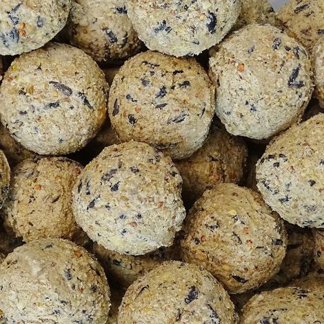 Mangime per uccelli selvatici, palle di grasso per uccelli 100 x ca.90g, cibo per uccelli (1/2)