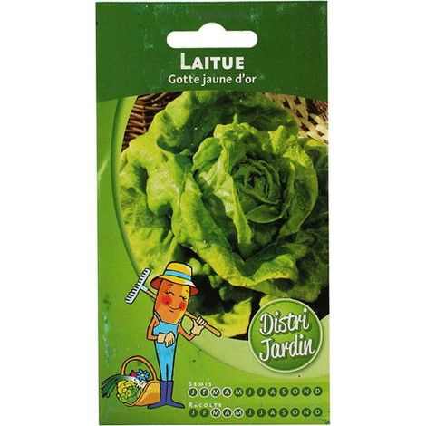 Sachet De Graines Laitue De Printemps Gotte Jaune Or