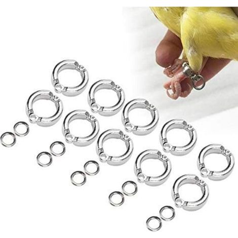 10 pièces Anneaux de Pied d'oiseau Anneau de Jambe de Perroquet en métal Anneau de Jambe de Perroquet en Plein air (1/5)