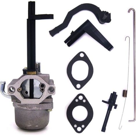 Il carburatore Briggs & Stratton è utilizzato per i modelli 796323, 796321, 796322 e 699966 delle macchine tagliaerba (1/5)