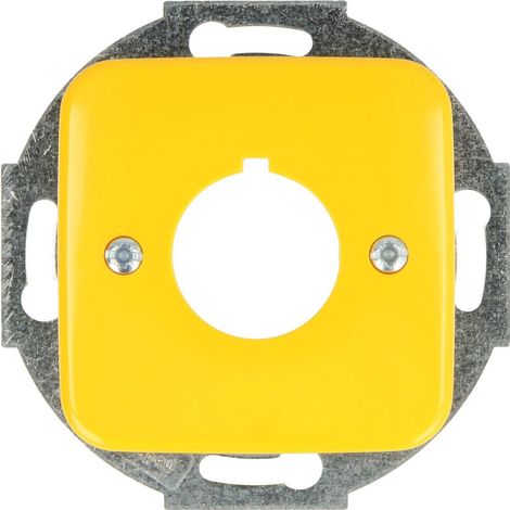 Busch-Jaeger Mascherina centrale Dispositivi di comando 1-posto giallo - Reflex SI (2533-214-15), 2CKA001724A2696