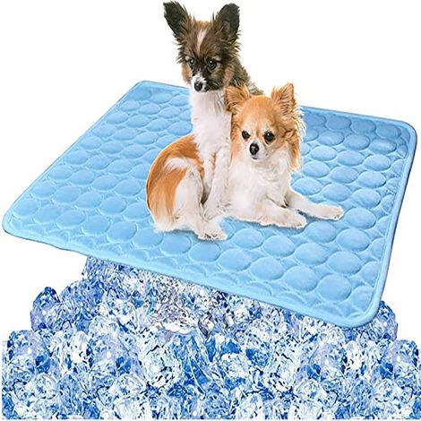 Kühlmatte für Hunde und Katzen – Wasser- und stromlose Kühlung aus Nylongewebe – Für drinnen und draußen, Strand und Auto – 60 x 90 cm – 1 Stück (1/5)