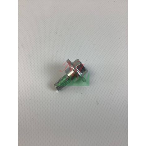 Tornillo 5/16-18 13/16 1/2 BRIGGS ET STRATTON 1732426SM (1/2)