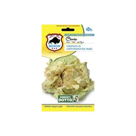 SEMENTI CICORIA CASTELFRANCO SEL M