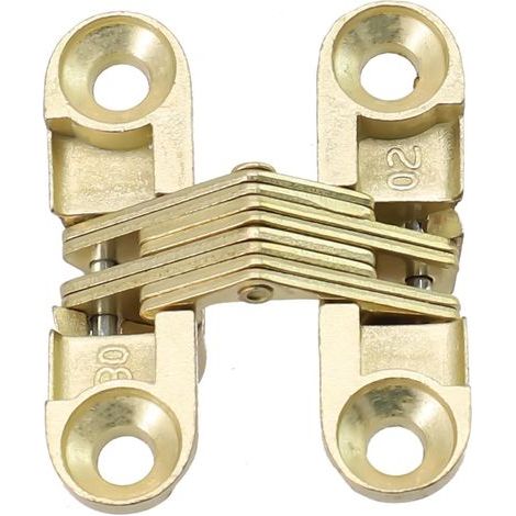 Charnière de porte pliante invisible avec cadre en acier inoxydable et corps en alliage de zinc pour projets en bois commerciaux et domestiques (doré, 11 x 40 mm) (1/5)