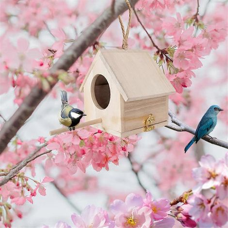 Nichoir pour mésanges, ensemble de nichoirs pour merles d'Amérique, maison pour oiseaux (1/5)