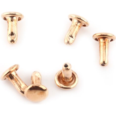 100 rivets à double tête, rivets tubulaires en métal pour la réparation et la décoration d'articles en cuir.