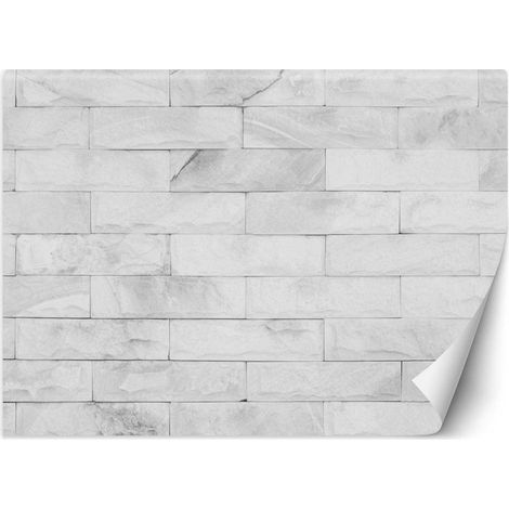 Carta Da Parati, Muro di mattoni bianchi - 100x70 (1/5)