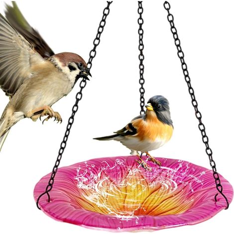 Bain pour Oiseaux De Jardin - Mangeoire en Forme de Fleur Résistante aux (1/5)