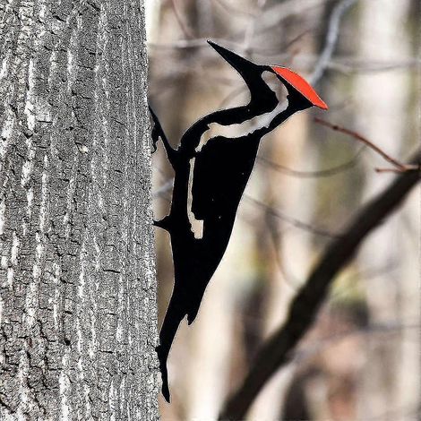Specht-Vogeldekoration, handgefertigter dekorativer Metallvogel für den Außenbereich, Metallgartenkunst, kompatibel mit Rasendekoration, Gartendekorationen für den Außenbereich