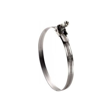 Collier de serrage à tête basculante bande non perforée Diamètre 40 à 290 W2/ZG (1/3)