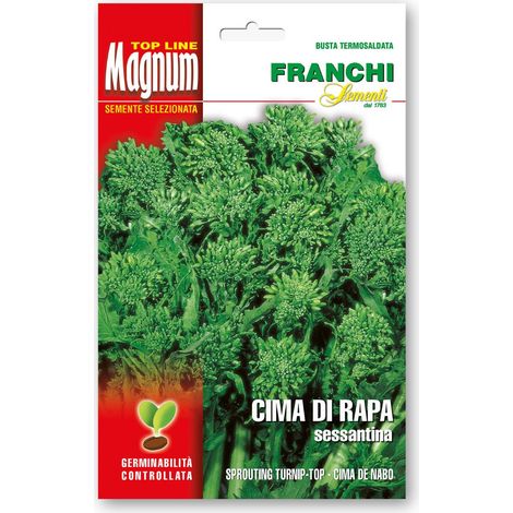 SEMI DI CIMA DI RAPA SESSANTINA ORTO GIARDINO