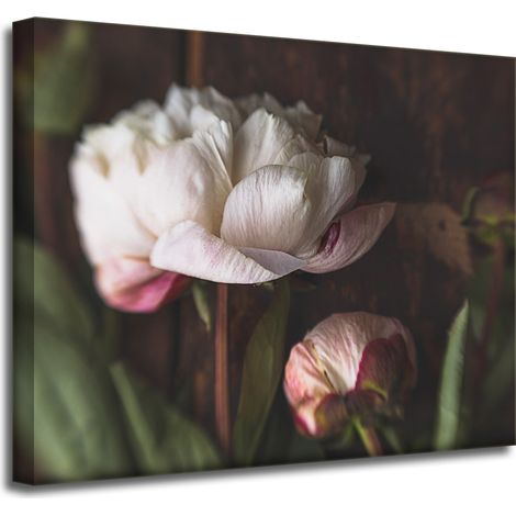 Lienzo impreso Botánica Flor Peonías 50x40 cm Ramo de flores Flora