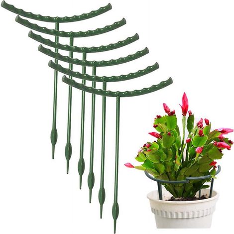 Plant Support Stakes - Half Round Plastic Plant Cage - For Small Pots - Green - 24 x 14 cm - 10 Pack (1/4)