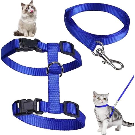 1 - Harnais Chat - Laisse Nylon - Réglable Anti-Fuite - Pour Chien Lapin Petit Animal - Bleu - 120x1,0cm (1/5)