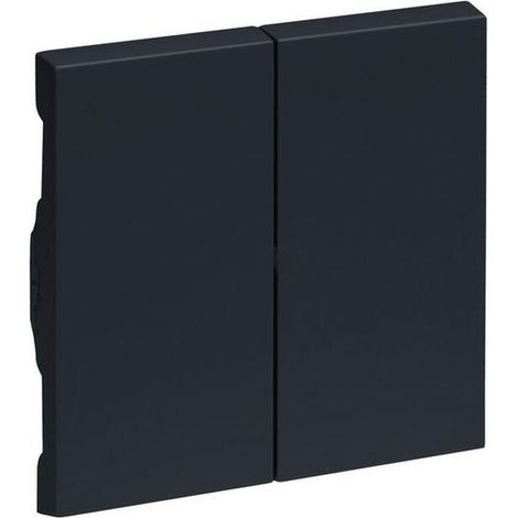 Legrand SERIENWIPPE ANTHRAZIT LACKIERT (765408 SEANO)