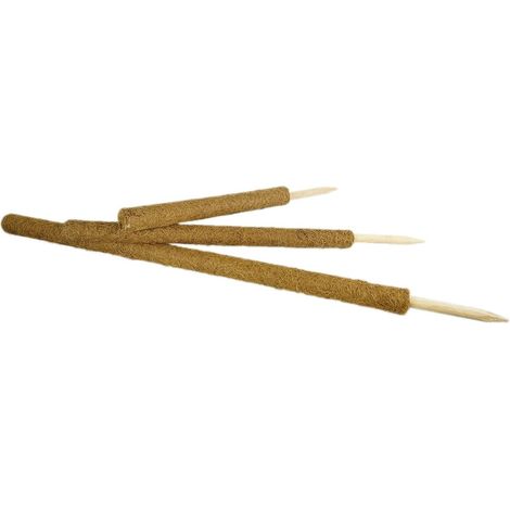 Lot de 4 tuteurs plante palmier 80 cm Ø 45 mm extensibles
