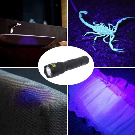 Mini-Taschenlampe (395 nm), LED-Detektionstaschenlampe, UV-Taschenlampe, Banknotendetektor, Haustierurindetektor (1/5)