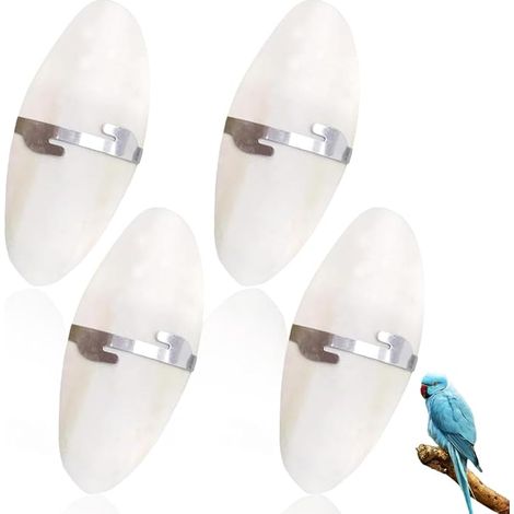 Parrot Chew Toys, Bird Chew Toys with Metal Stands, Cuttlefish Bone for Parrots, Birds, Reptiles, Turtles, Snails(about 11cm) (1/5)
