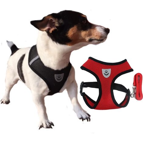 Laisse Réfléchissante Pour Chien - Harnais Thoracique Avec Boucles Métalliques Verrouillables - Nylon Résistant Et Doublure Maille Respirante - Taille Réglable - 1 Pièce
