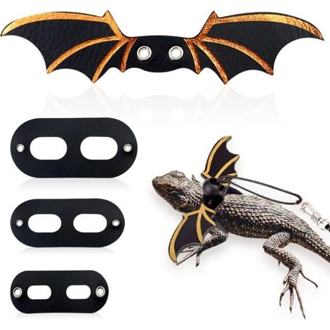 Laisse réglable pour lézard, harnais pour dragon barbu ailé, laisse souple pour reptiles, geckos léopards, amphibiens et autres petits animaux (noir) (1/5)