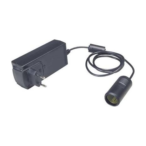 ProCar 20900750 Raddrizzatore 60 W 1 pz. Tensione d'uscita (dettagli)=12 V Tensione di funzionamento=230 V 5 A