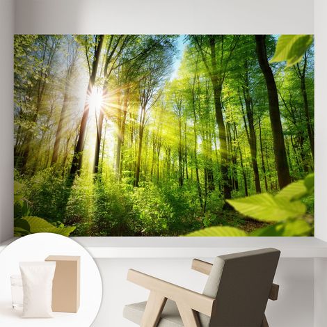 Papier peint intissé mural avec colle pour salon et chambre Décoration murale rapide - Colle incluse gratuite Lumière de la forêt 104x70 cm (1/5)