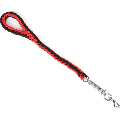 Laisse Pour Chien En Nylon Avec Ressort Amortisseur - Entraînement Et Marche Quotidienne - Taille M (1/5)