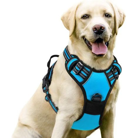 harnais chien – Harnais pour chien moyen à grand – Réglable et réfléchissant – Attache avant pour anti traction – Taille L, tour de cou 46-66 cm, tour de poitrine 38-89 cm-Bleu ciel