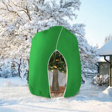 TuseRxln Housse pour Plantes - Housse d'hiver - Grande Taille 250 x 350 cm avec Fermeture éclair et Tissu Respirant - 1 pièce - pour Arbres, Palmiers, Plantes de Balcon en légumes (1/5)