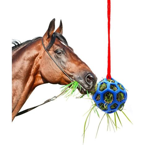 Balle Friandise pour Cheval, Jouet pour Chevaux, Chèvre et Moutons - Soulage Le Stress, Repose (1/5)